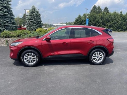 2020 Ford Escape SE Red, Mercer, PA