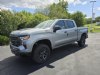 2024 Chevrolet Silverado 1500 Custom Trail Boss Gray, Mercer, PA